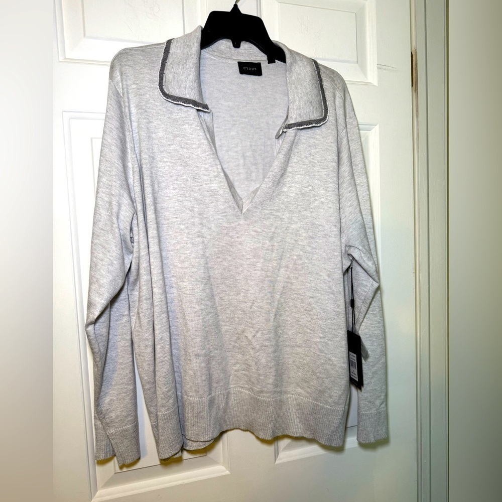 Cyrus Woman’s Gray V Neck Sweater With Embroidered Edge NWT Sz 3x Plus Soft Cozy